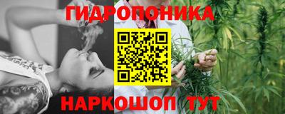 гидропоника Старая Купавна