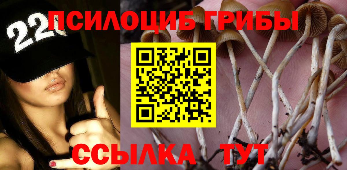 Псилоцибиновые грибы мицелий Приморско-Ахтарск