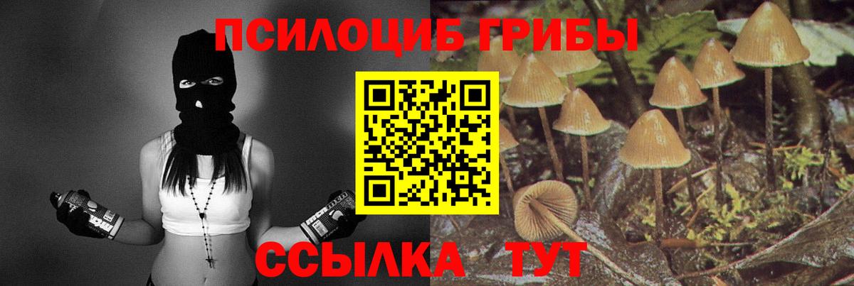 закладка  Псилоцибиновые грибы MAGIC MUSHROOMS  Вход с VPN  Приморско-Ахтарск 