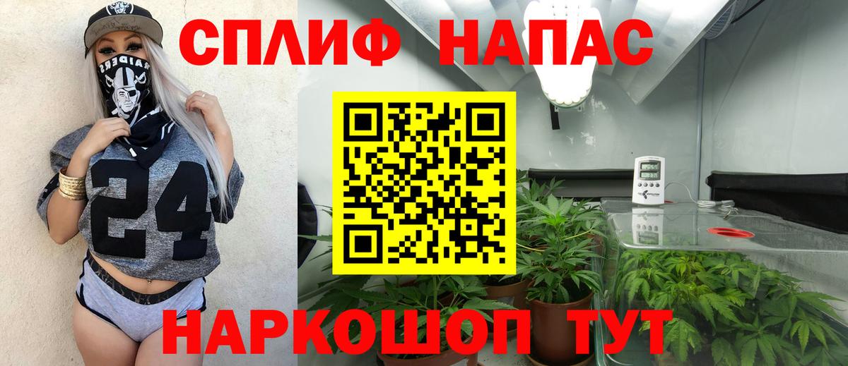 Конопля марихуана  Конопля семена  Марихуана гибрид  Приморско-Ахтарск  Вход с VPN 